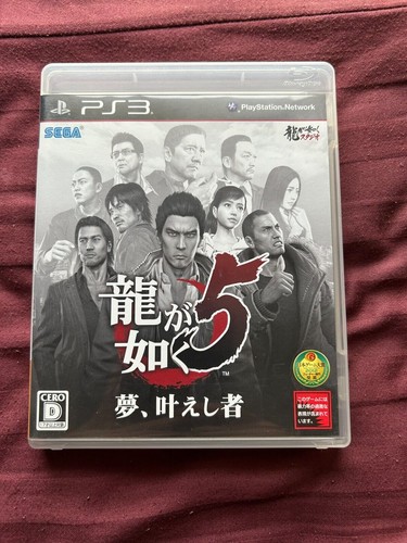 Ryu gotoku yume kanaeshi - ryu, yume,