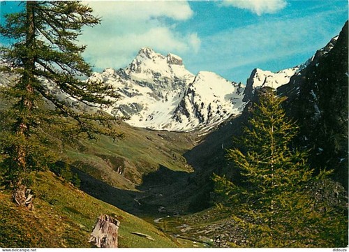 Carte postale le - carte,