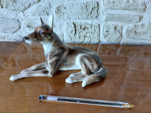 Chien porcelaine - chien, en