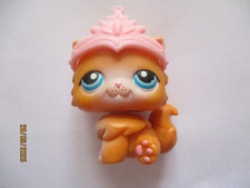 PETSHOP CHAT PERSAN N°153 +