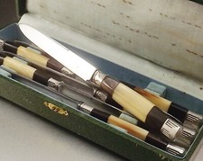 STREISGUTH 6 COUTEAUX A FRUIT ART DECO EN CORNE METAL ARGENTE ET INOX VERS 1930