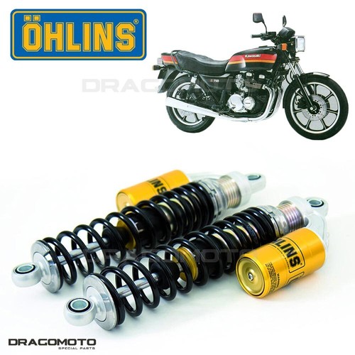 Kawasaki 750 sport - z,