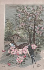 CP ILLUSTREE OISEAUX BRANCHES