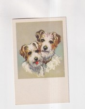F3920) TERRIER - CHIEN - 2 chiens toile carte d'artiste ANCIENNE !