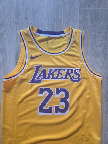 Lebron james los angeles - lebron,