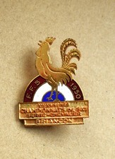 insigne, broche de Ski 37e