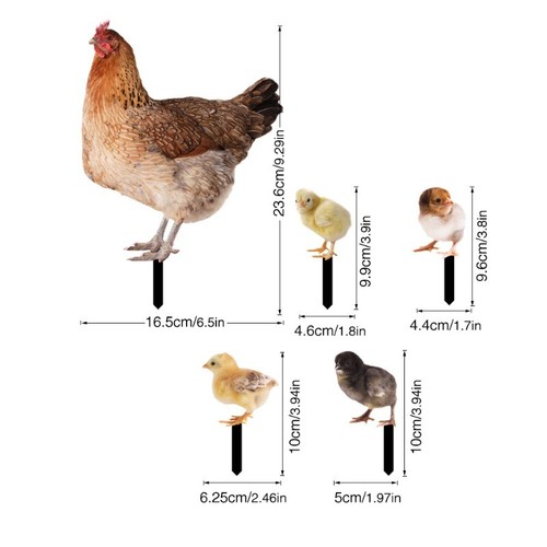 Set poule poussin - gb,