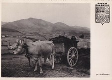 Carte postale postcard 10x15cm