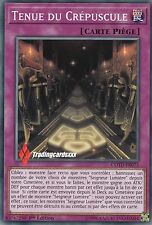 ♦Yu-Gi-Oh!♦ Tenue du Crépuscule (Seigneur Lumière) : COTD-FR073 -VF/Commune-