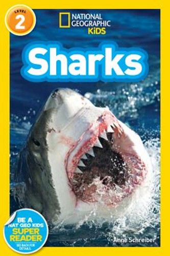 Requins national geographic - requins,