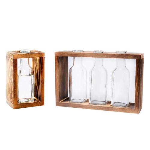 Terrarium hydroponic plant - hydroponic,
