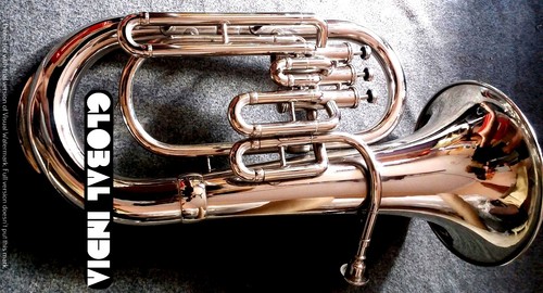 Euphonium valve horn of - euphonium,