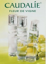 Carte  publicitaire format