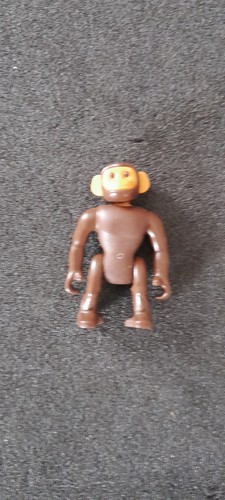 Animal singe chimpanze - animal,