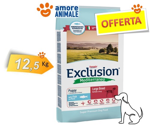 Exclusion chien mediterraneo - exclusion,