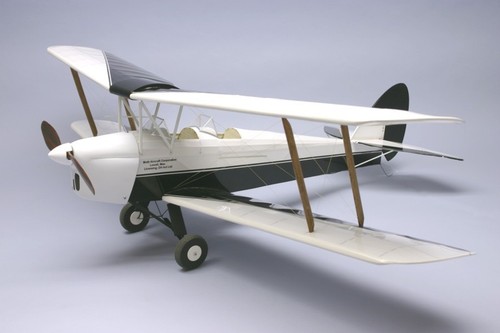 Tiger moth dumas s1251810 - moth,