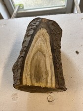 Bois Sumac Vinaigrier