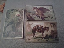 Animaux - Images Anciennes