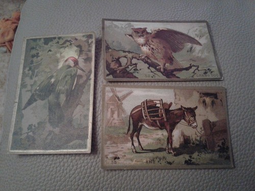 Animaux images anciennes - animaux,