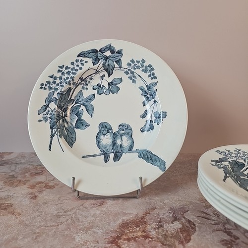 Assiettes creuses oiseaux - assiettes,