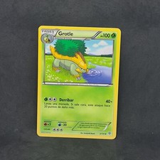 Carte Pokémon Noir & Blanc