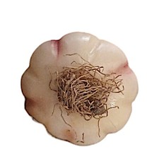 Ail En Marbre Peint À La Main Sculpture De Table Décor D'Intérieur Design