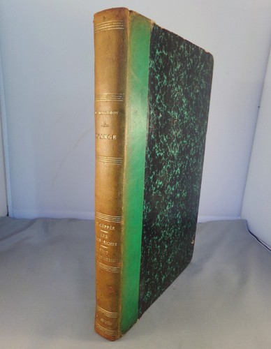 Rene maizeroy ange illus - maizeroy, /