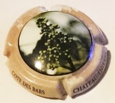 Capsule de champagne Epernay