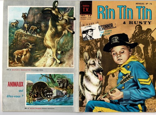 Rintintin de 1966 tbe - n°,