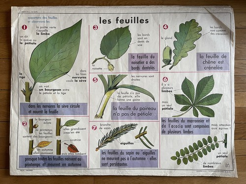 Ancienne affiche scolaire 1960