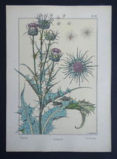 VERNEUIL Grasset Lithographie