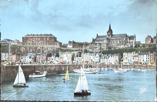 Carte postale postcard - 🦬,