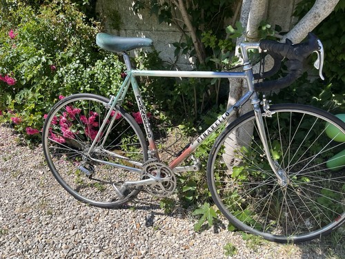 Pinarello montello 87 - pinarello,