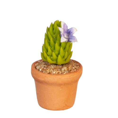 Maison poupées cactus en - de,
