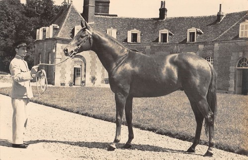 Cpa haras pin - 61, du