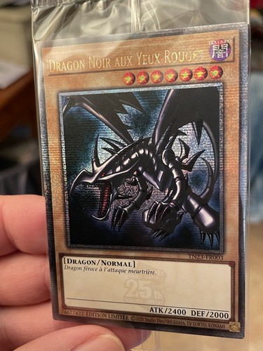 Dragon noir aux - !,