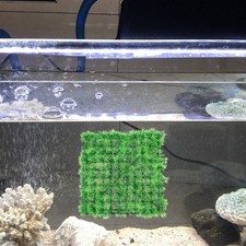  Carrés De Gazon Artificiel Tapis Herbe Artificielle Décoration D'aquarium
