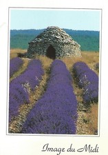 CARTE POSTALE LA PROVENCE CÔTE D'AZUR, BORIE, LAVANDE