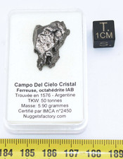 Météorite Campo del Cielo