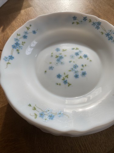 Arcopal myosotis veronica - arcopal, 6