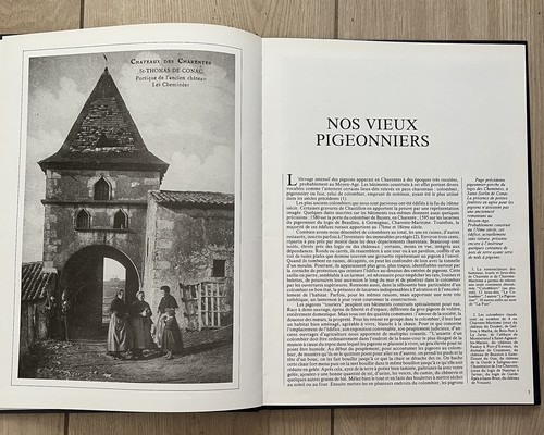 Pigeonniers des charentes - pigeonniers,