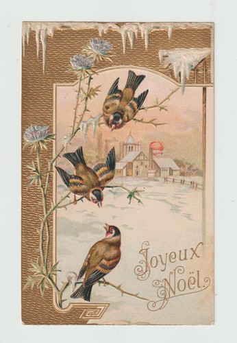 Joyeux noël oiseaux le - joyeux, noël.