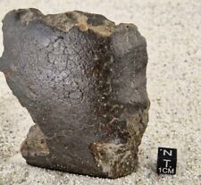 Meteorite NWA 17249 Chondrite LL6