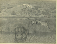 Grèce, Skyros Vintage Print