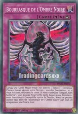 Yu-Gi-Oh! Bourrasque de l'Ombre Noire : C DABL-FR072