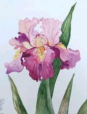 Iris à l'aquarelle, A5