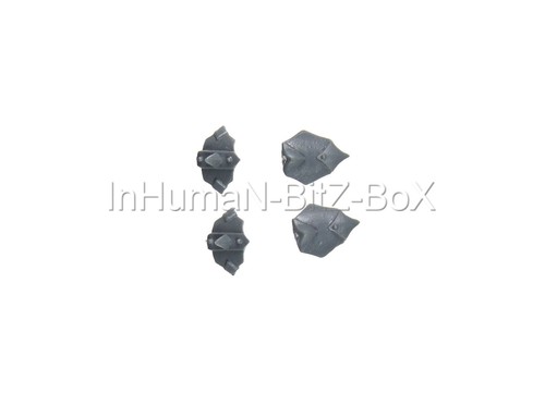 Zs19 epaulette saurus homme - x4,