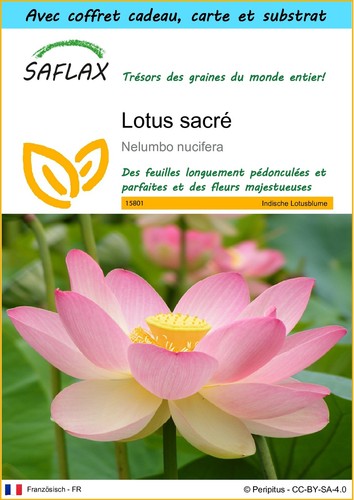 Saflax set cadeau - saflax,