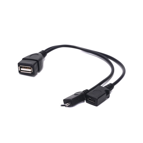 Câble adaptateur otg - otg, 1
