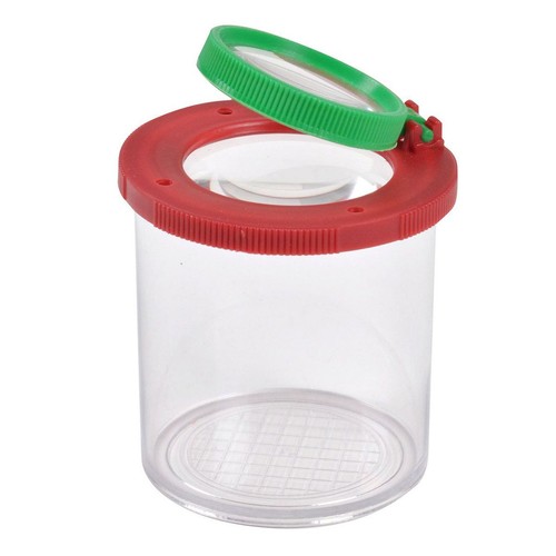 Boite insecte loupe - insecte, "loupe